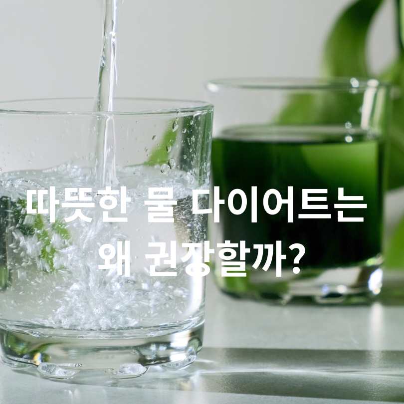 따뜻한 물과 찬물의 다이어트 효능 비교