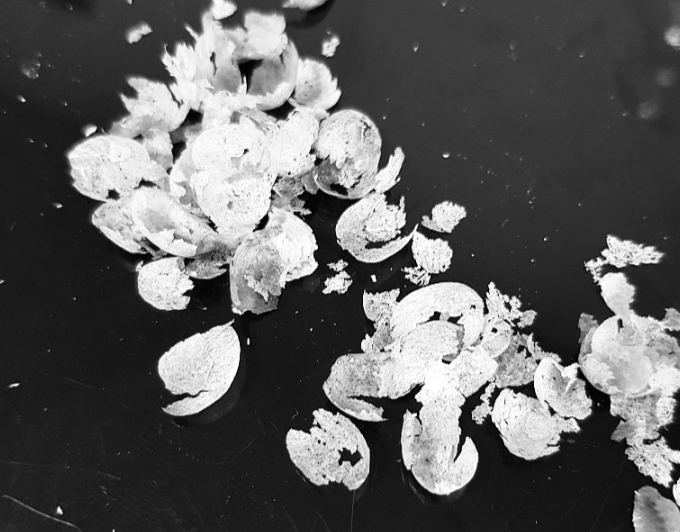 불과 바람의 조화로 빚어낸 채프 이미지/ 로스트 프로 / Roast Pro