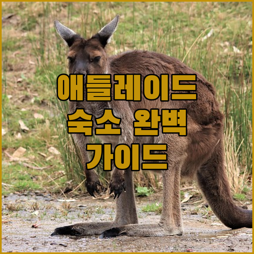 애들레이드 완벽 숙소 가이드 이비스,