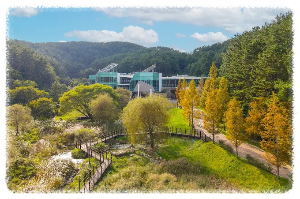 통영RCE세자트라숲