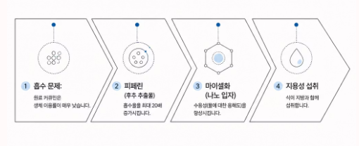 커큐민 효능