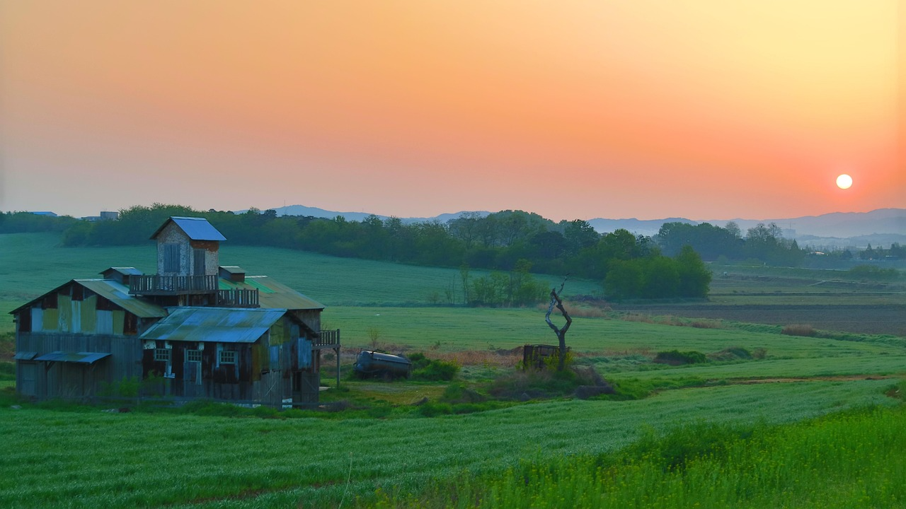 2026년 안성 부동산 정보 관련 사진
