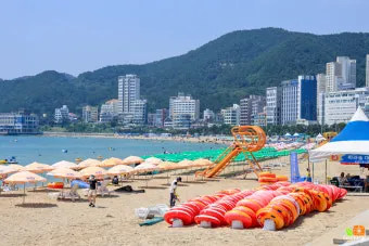 송정 해수욕장 여행 꿀팁 맛집과 서핑포인트 정리_7