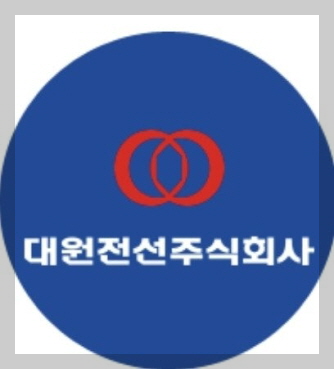 대원전선 이미지