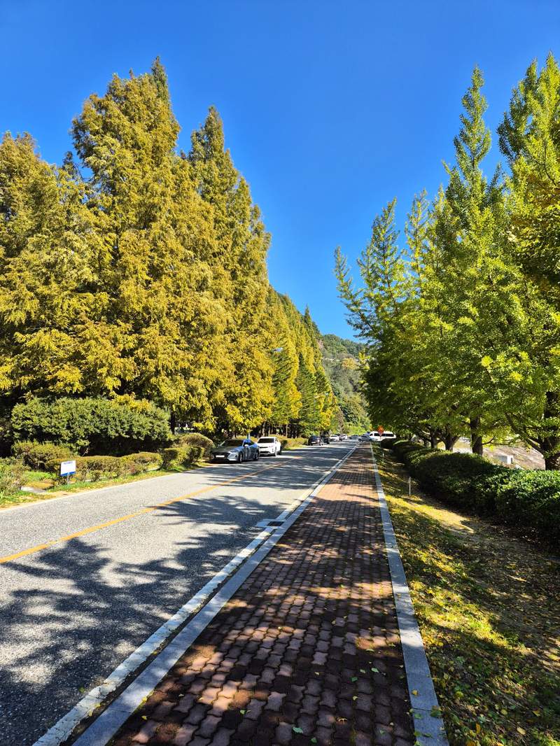 Nakgangmulgil Park way to go, 낙강물길공원 가는 길