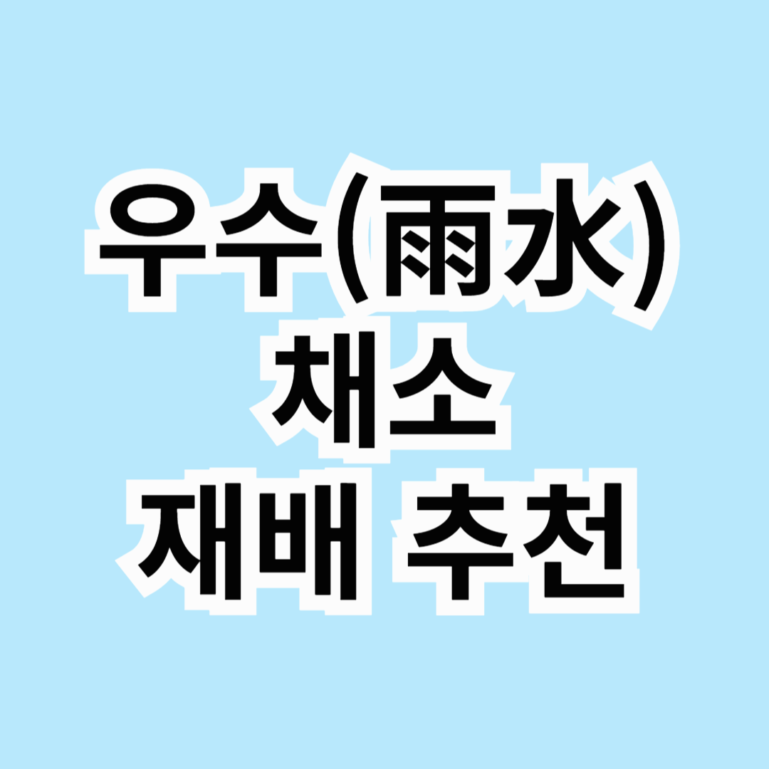 🌱 우수(雨水), 봄 채소 재배 시작! 지금 심으면 좋은 채소는?