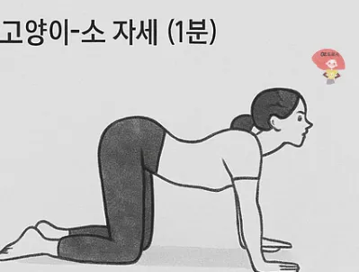 스트레칭-고양이-소자세