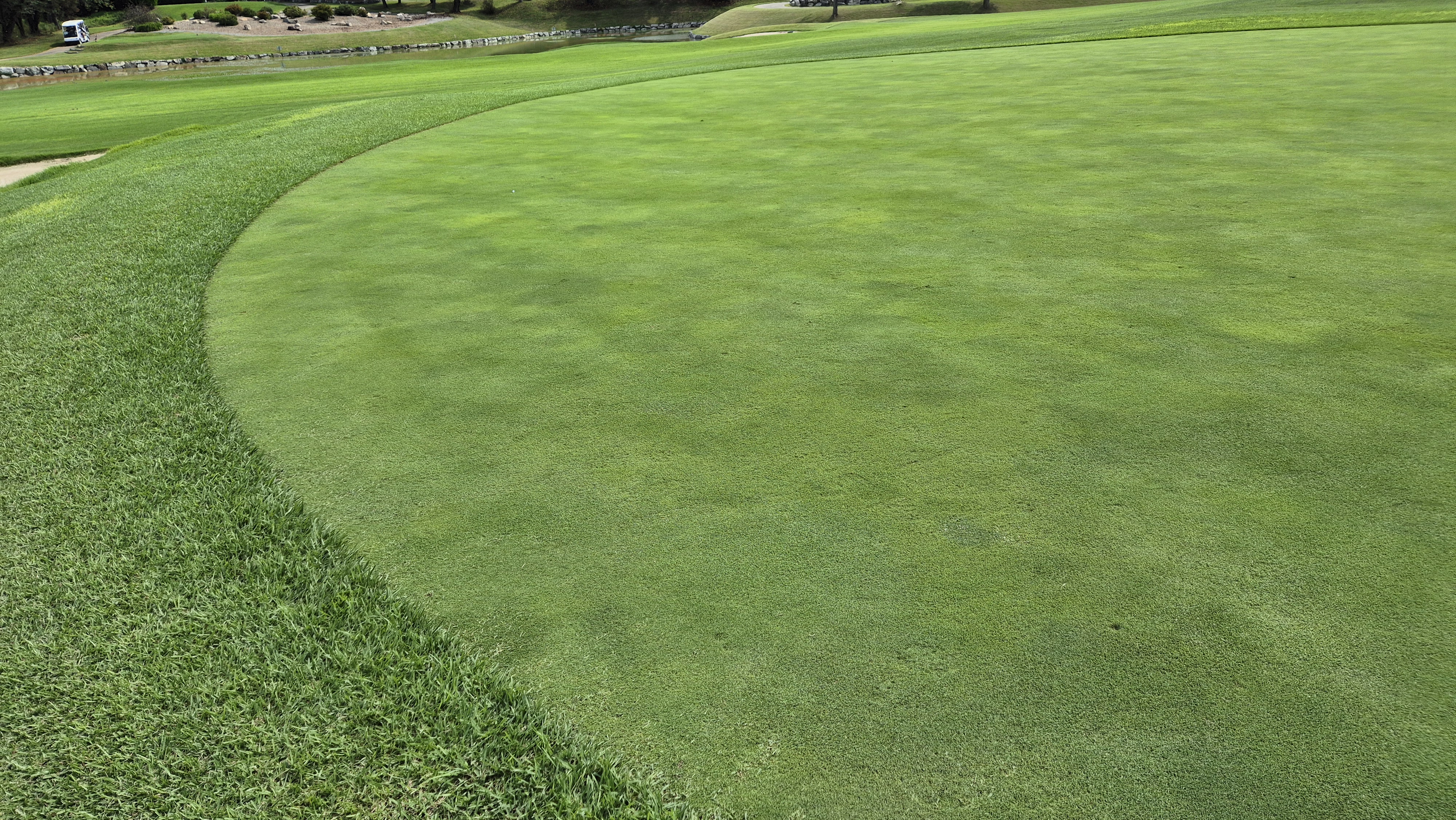 도고cc 그린 관리상태