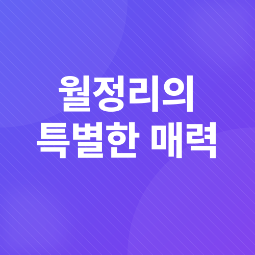 제주 월정리 해수욕장 정보_4