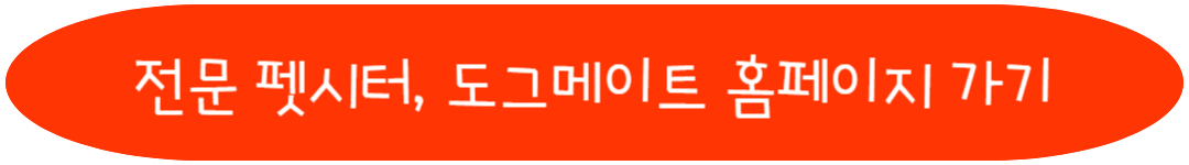 전문 펫시터 도그메이트 홈페이지