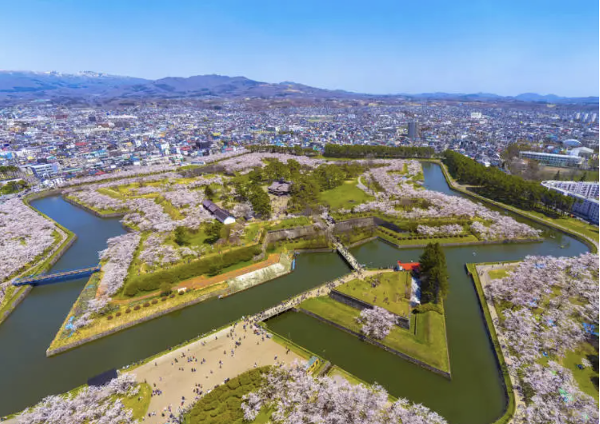 고료카쿠 벚꽃 축제