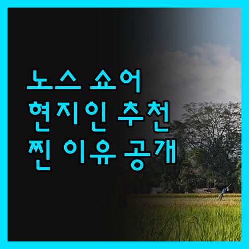 노스 쇼어 숙소, 현지인이 강추하는