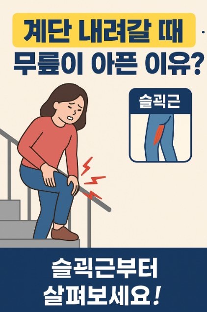 계단 내려갈 때 무릎이 아픈 이유? 슬괵근부터 살펴보세요!
