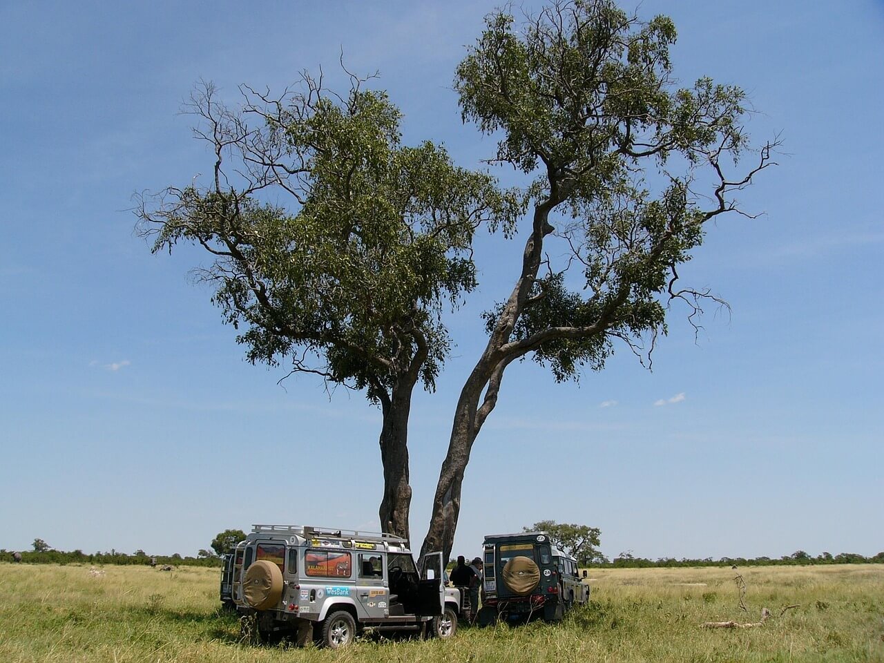 나미비아의 희귀한 전통 의식과 오카반고 축제 (Okavango Festival)