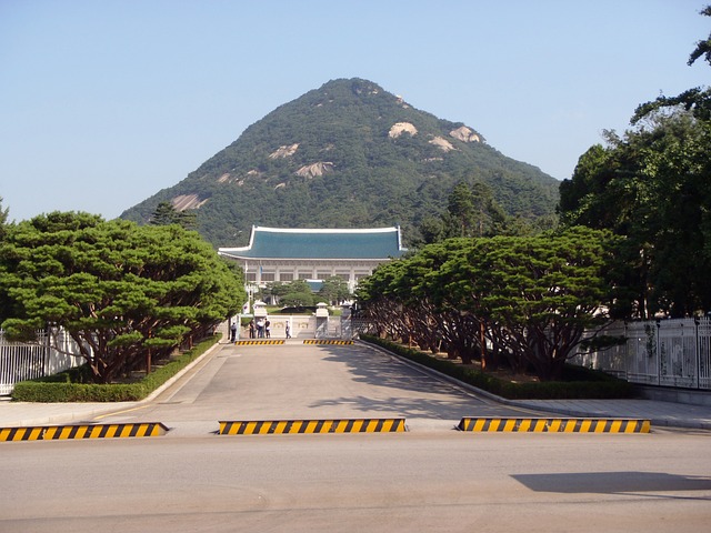 21대 대선을 위한 올바른 대한민국의 모습과 리더의 자질에 대한 고민