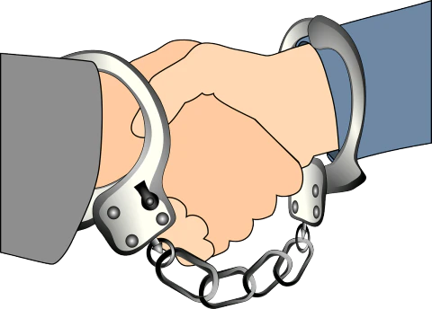 서울행정법원 판결