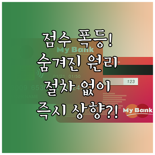 신용 회복 지원 자동 신청 절차 없이..