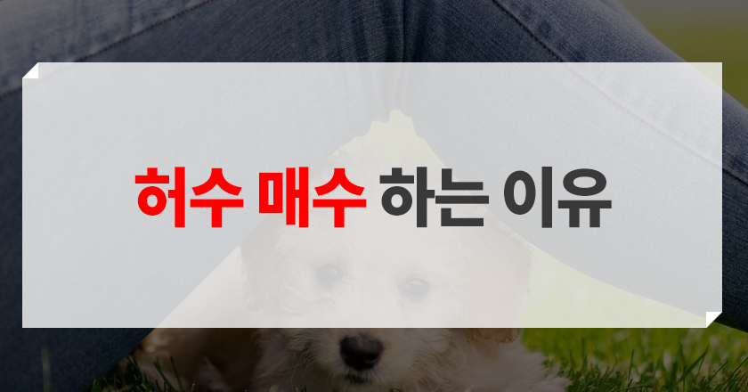 허수 매수 이유 허매수 발생 이유