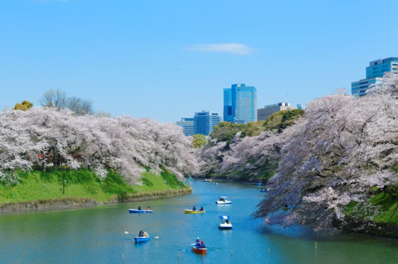 ์ผ๋ณธ ๋ฒ๊ฝ ๋ช
์