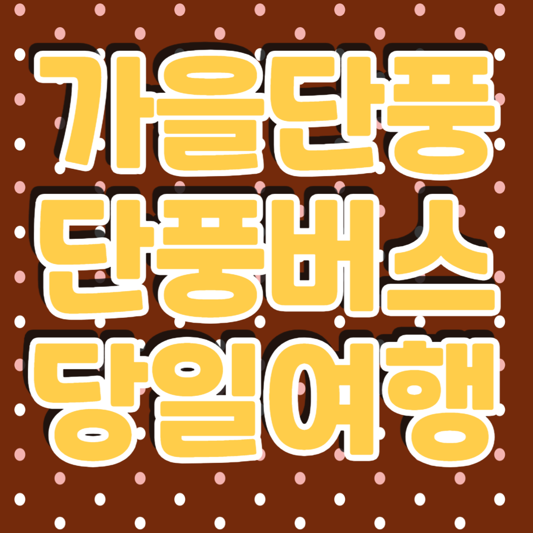 가을단풍 단풍버스 당일여행