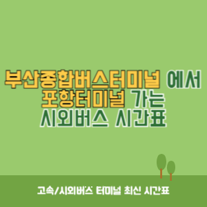 부산종합버스터미널에서 포항터미널 가는 시외버스 시간표 최신정보