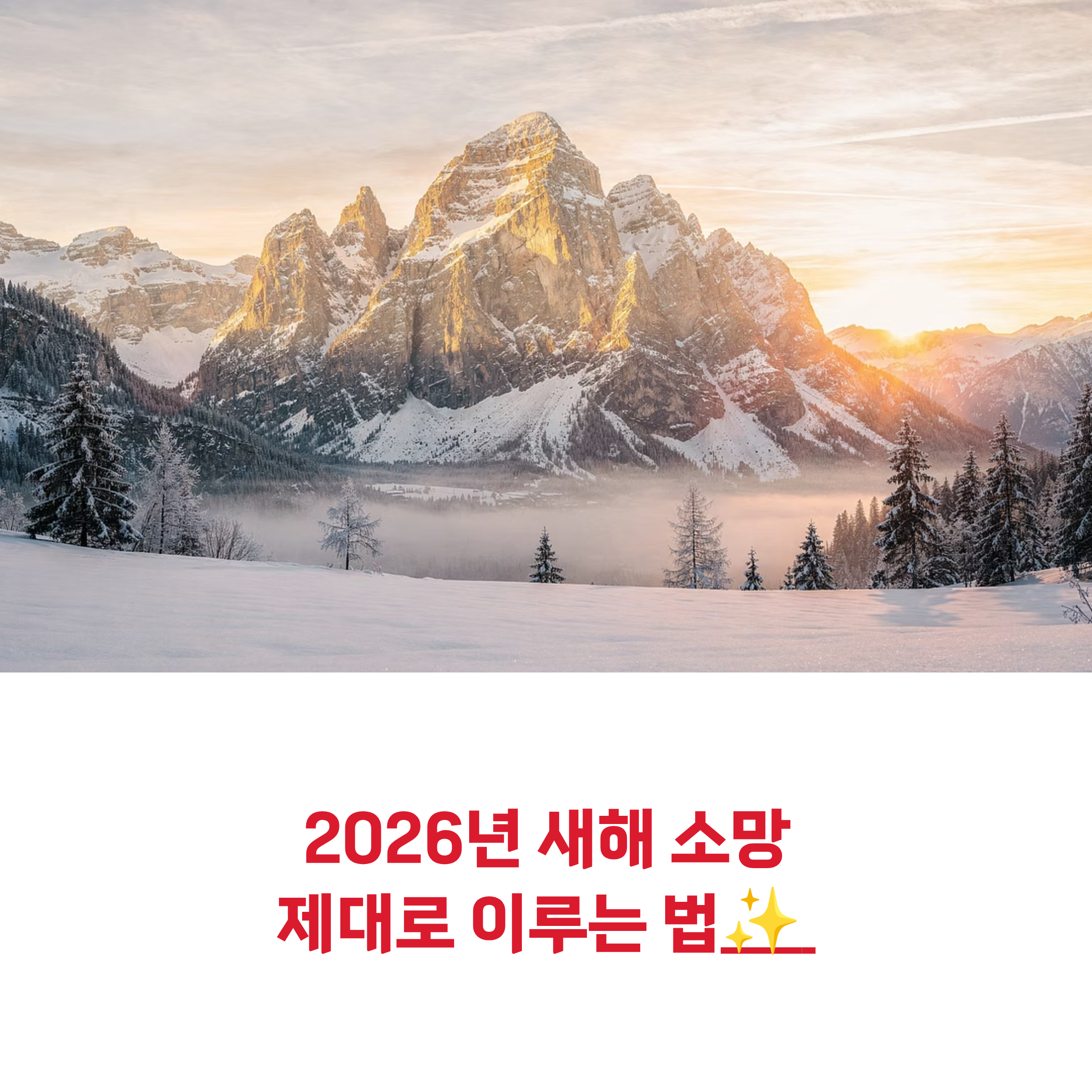 2026년 새해 소망
