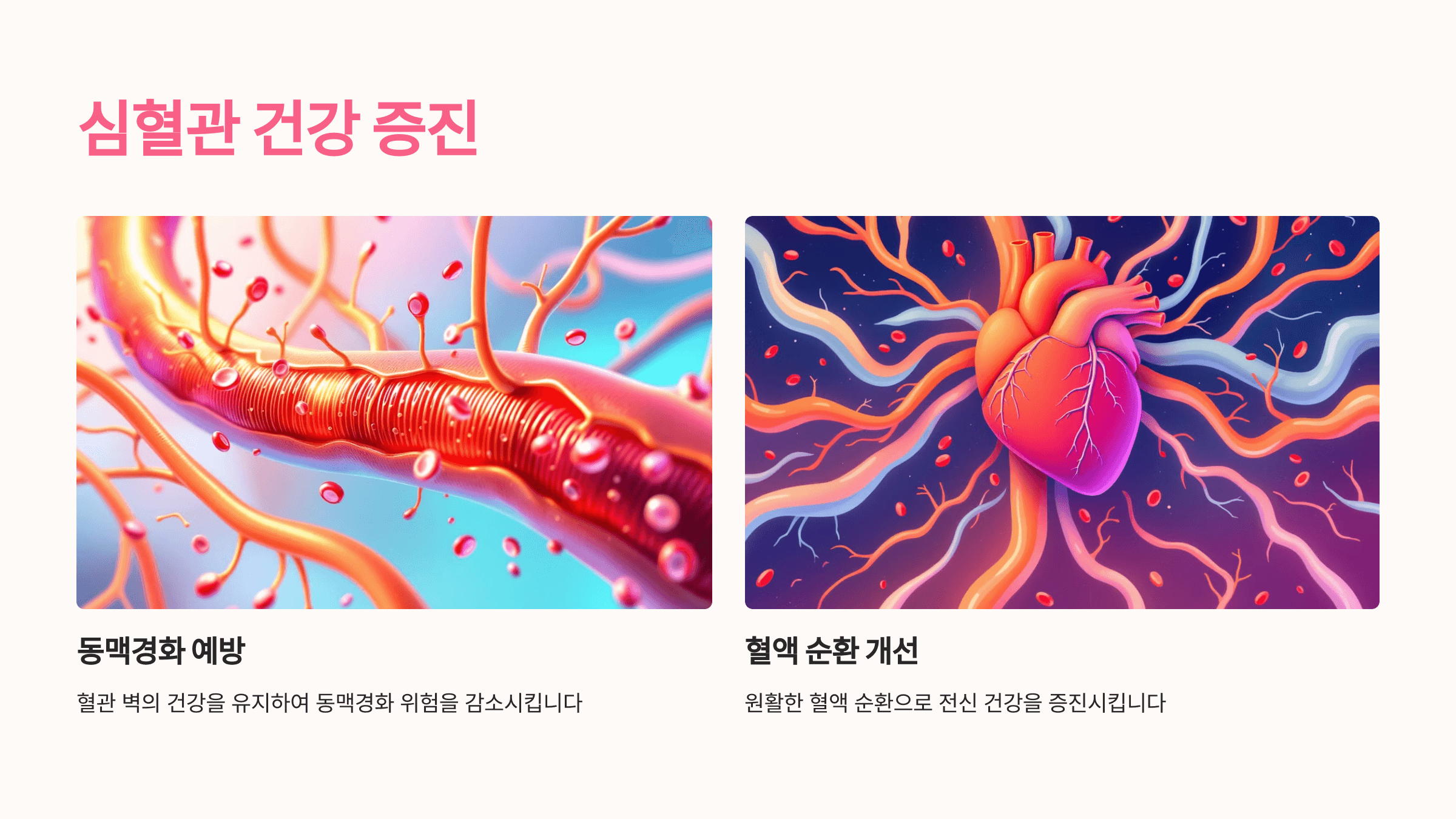 베타카로틴과 관련된 사진입니다.