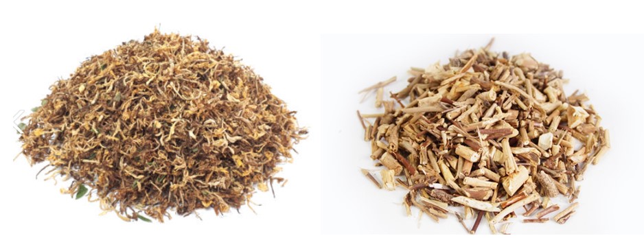 약초 인동꽃과 인동초줄기 사진