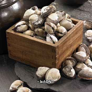 꼬막 해감쉽게하는법