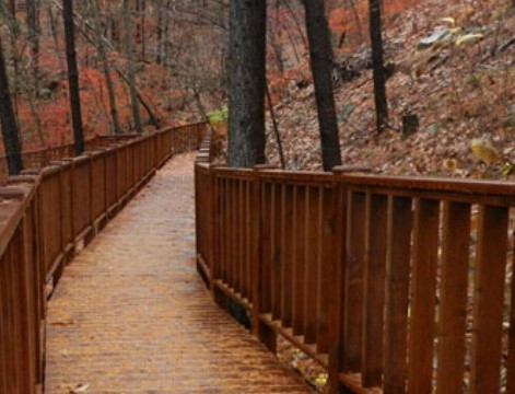 숲나들e 국립 산음 자연휴양림 국내 여행지 추천 관련사진
