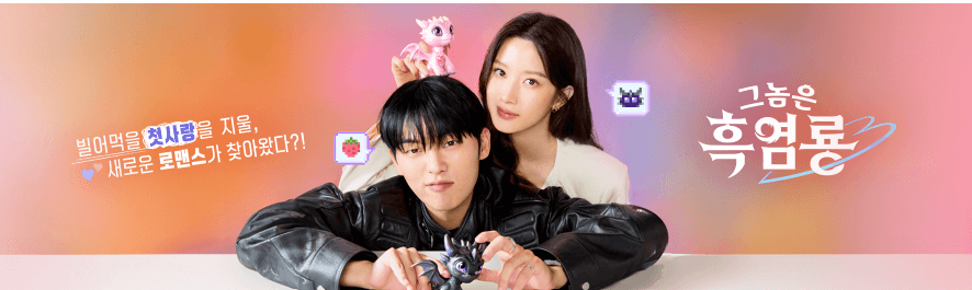 그놈은 흑염룡 재방송 다시보기 &amp; 티비 무료 시청하기 다시보기 방법 tvN 월화 드라마 재방송 시간 시청후기 줄거리 등장인물