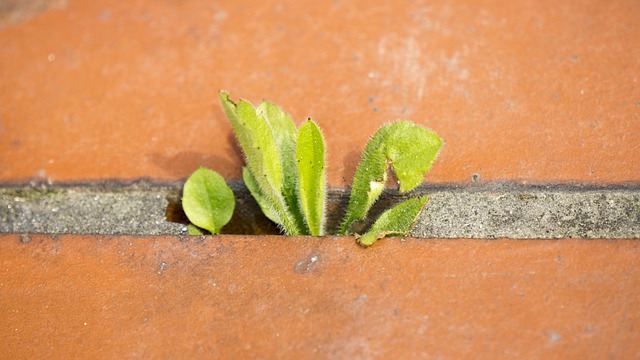 니치 마케팅: 특정 소비자를 타겟으로 한 차별화 전략