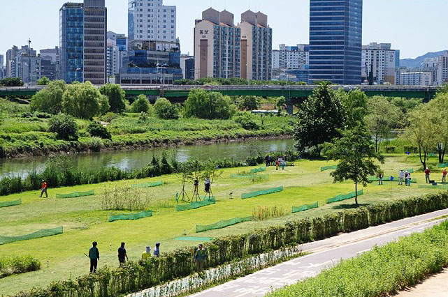 안양천파크골프장 (18홀 + 9홀) 통합 소개​