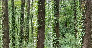 동해 가볼만한곳