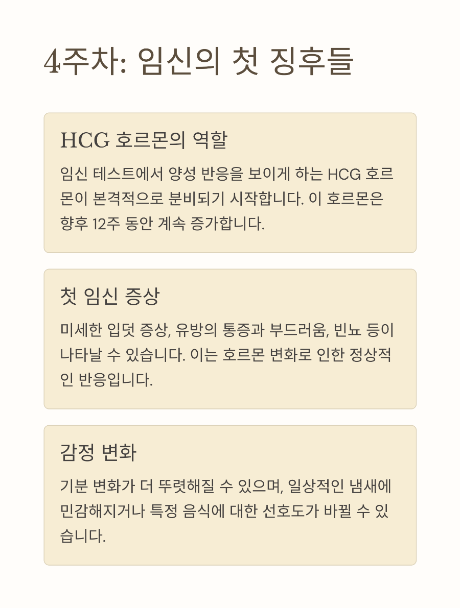 임신 1-4주차 신체 변화 아무도 알려주지 않은 미세한 신호들