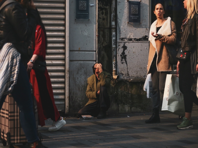 프로폴리스 효능2