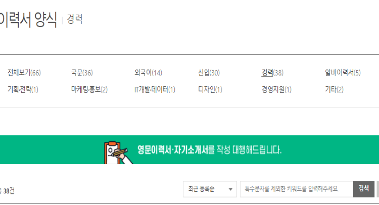 사람인-경력이력서-홈페이지