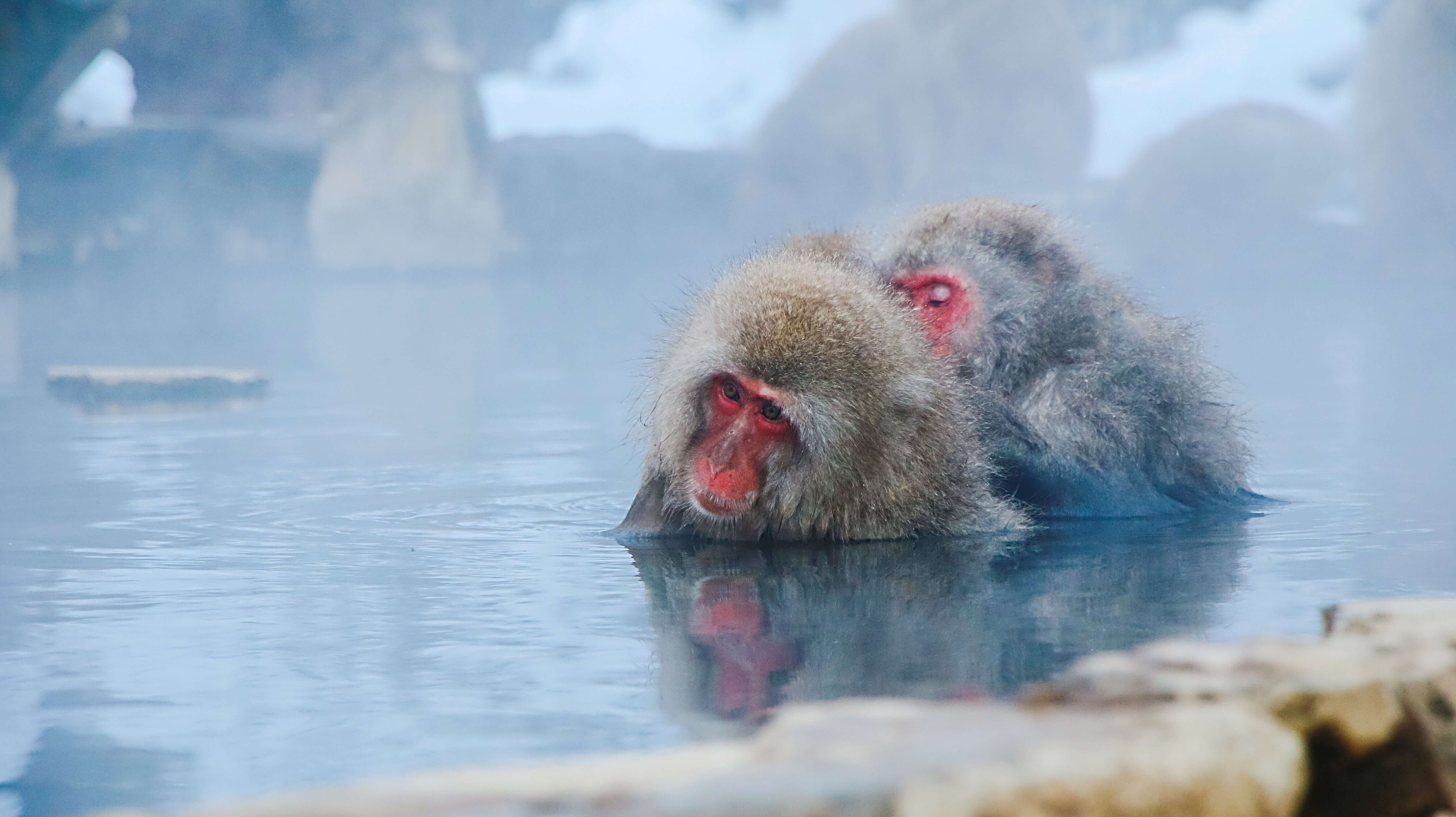 일본-온천-겨울-여행지-추천