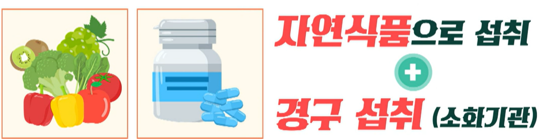 글루타치온 복용법