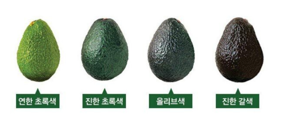 아보카도 효능 건강효과 먹는 법 고르는 법
