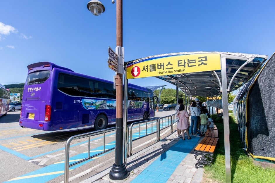 삼척 가볼만한곳 베스트 10