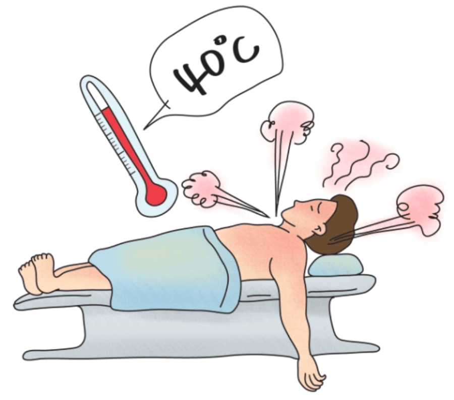 일본 감염병 연쇄구균 독성 쇼크 증후군 치사율 증상 예방법