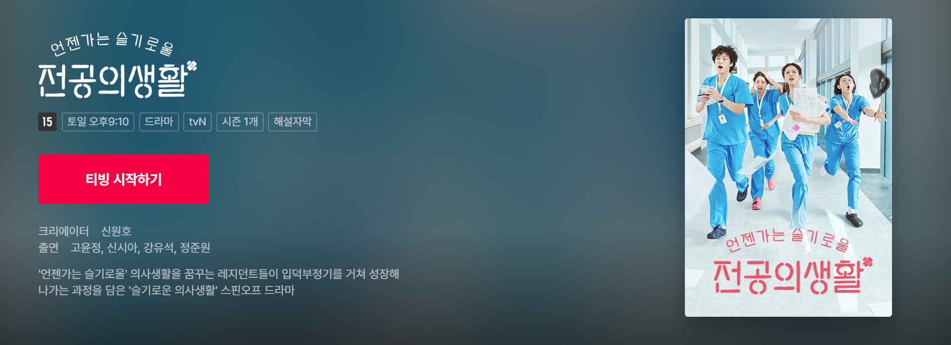 언젠가는 슬기로울 전공의생활 🌿 등장인물, 줄거리, OST 총정리!