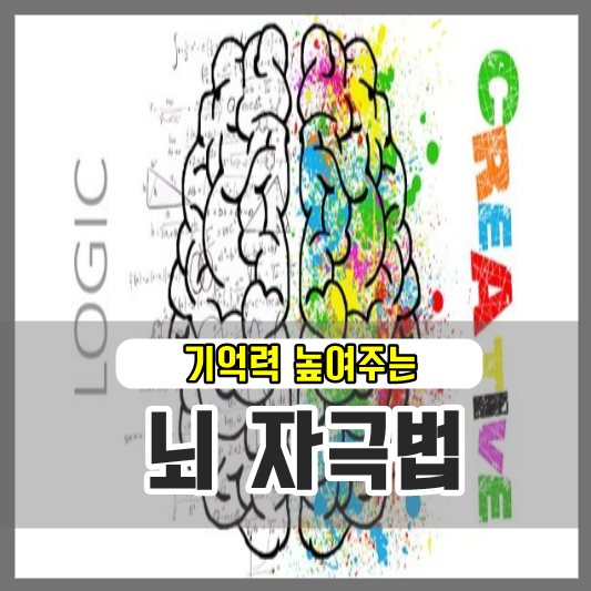 뇌자극법