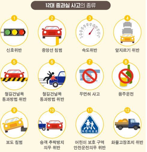 운전자보험-보장범위