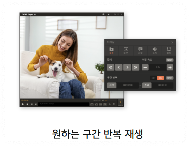 반복 재생 기능 안내