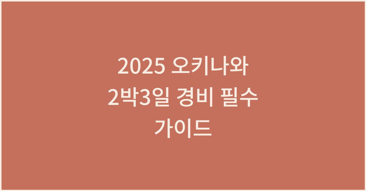 2025 오키나와 2박3일 경비