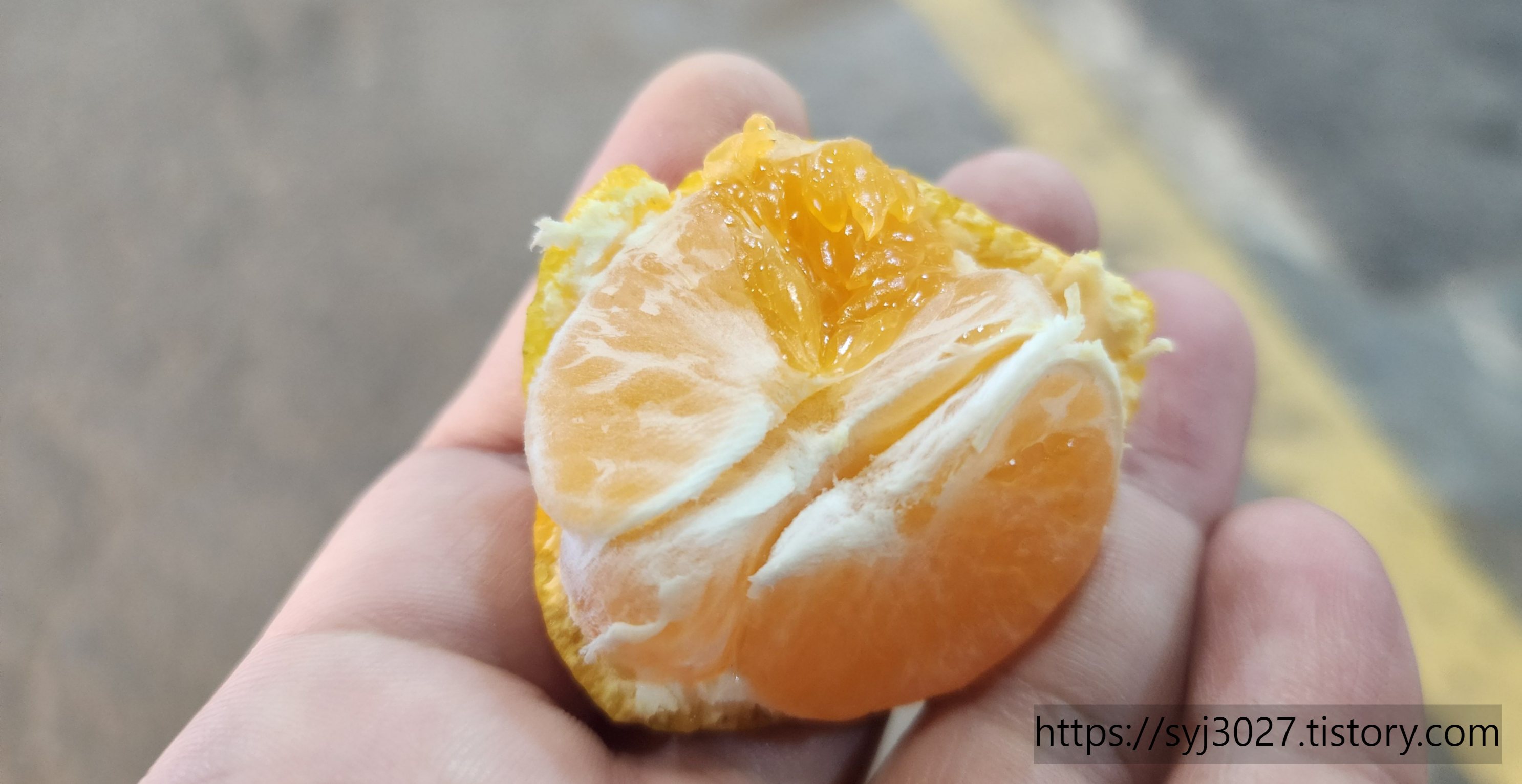 Alt 속성 문제 해결 설명 이미지