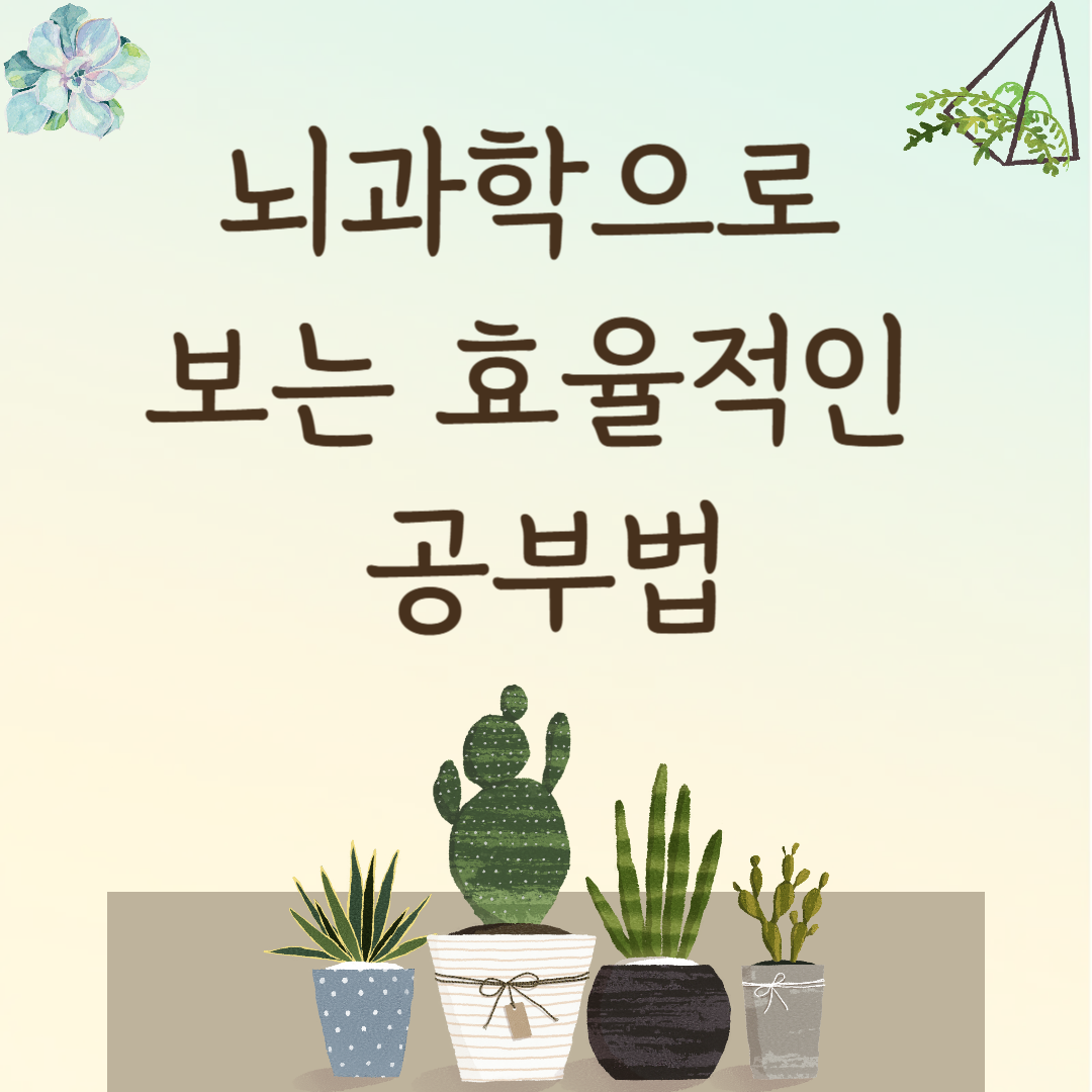 뇌과학으로 보는 효율적인 공부법