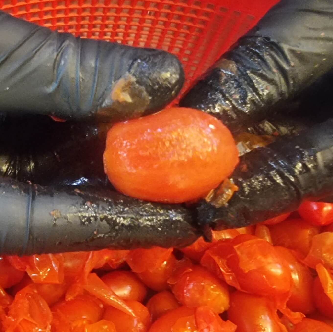 토마토 마리네이드 만들기